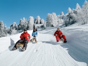 Family sledging fun