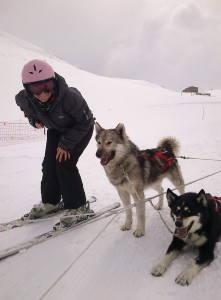 Try your hand at dog-sledding in Bessans