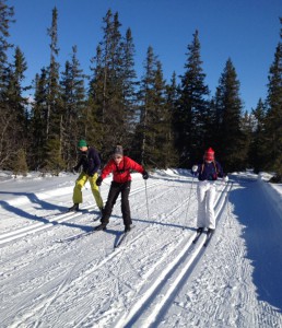 Crazy family (beginner) cross-country racing