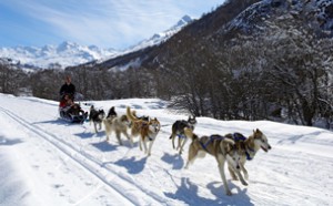 Dog-sledding is just one of many alternatives to skiing