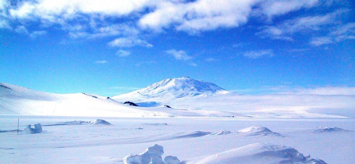 Prince Harry reaches South Pole