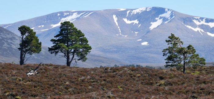 Record year for snow in Scotland