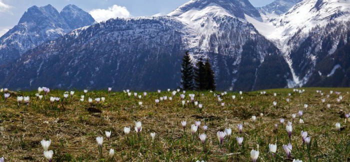 Summer skiing in the Austrian Tirol