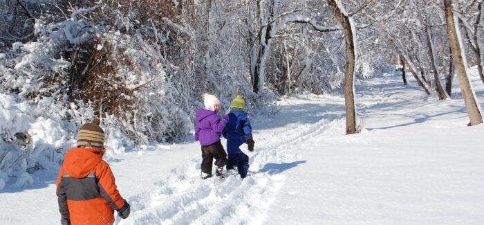 A down ski jacket or a synthetic one?